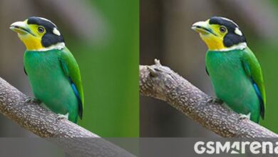 Google’s contemporary JPEG picture encoder affords elevated quality and saves on size and bandwidth
