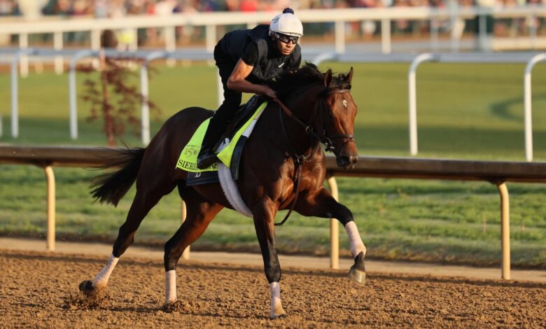 Having a bet on the Kentucky Derby? Right here’s systems to mediate adore a talented handicapper.
